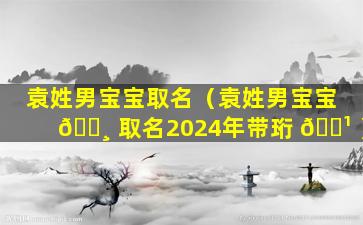 袁姓男宝宝取名（袁姓男宝宝 🌸 取名2024年带珩 🌹 ）